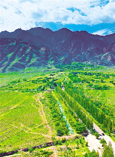     綠色——賀蘭山，寧夏的父親山。隨著近年來賀蘭山生態(tài)保衛(wèi)戰(zhàn)的打響，賀蘭山生態(tài)逐步恢復(fù)，是寧夏踐行“綠水青山就是金山銀山”理念的生動寫照。     本報記者 馬楠 攝