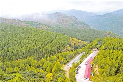     位于六盤山國家森林公園內(nèi)的王化南護林點。